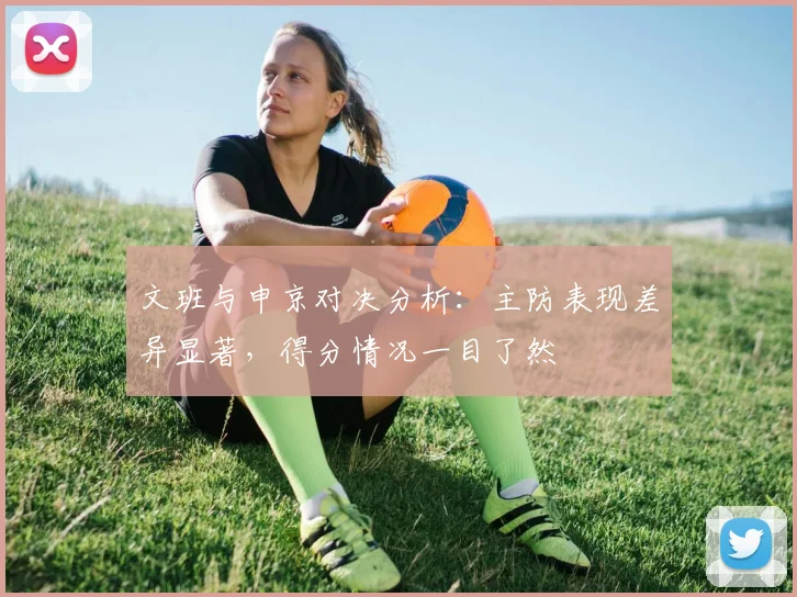 文班与申京对决分析：主防表现差异显著，得分情况一目了然